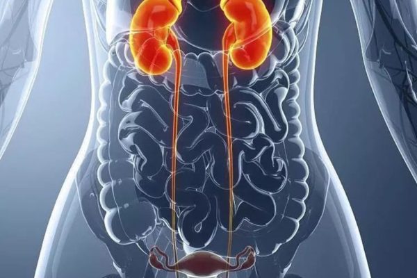 血尿、尿路感染